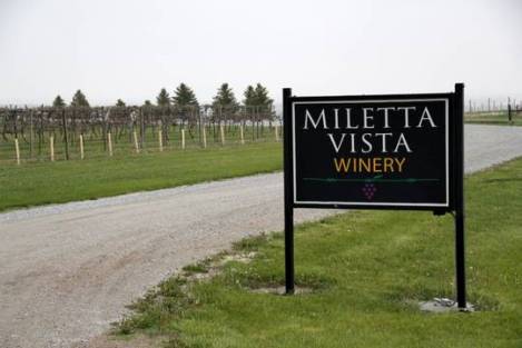 Miletta Vista 1_correspondent_main