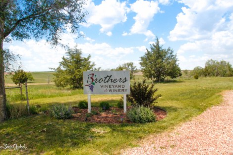 Three Brothers 2014 0003Edited