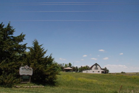 Cut Hills 2014 0032Edited