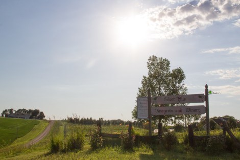 Silver Hills 00028Edited