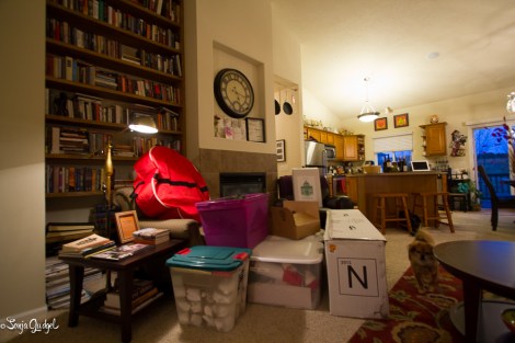 Xmas Wine Tasting 00004Edited