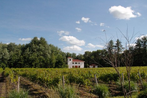 Fulchino 2014 0016Edited