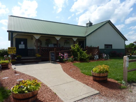 HolyField 00004-3Edited