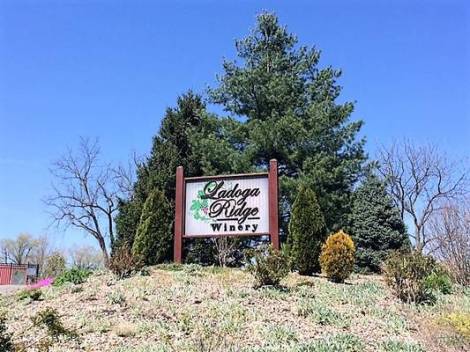 Ladoga_Ridge4_winery_large